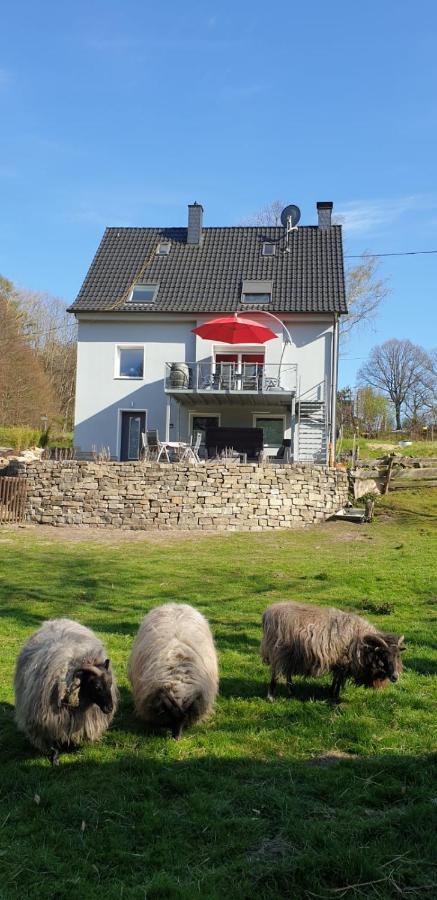 Souterrainwohnung Im Grünen Apartment