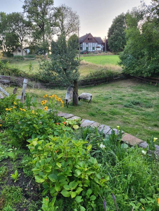 Souterrainwohnung Im Grünen * Witten an der Ruhr